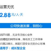 上海胜蓝信息技术服务公司 专业系统集成与IT外包服务提供商